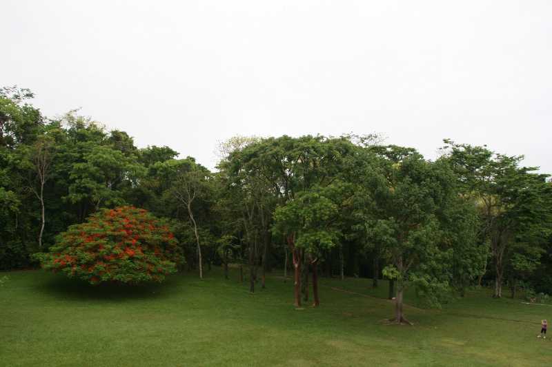 Mexico & Guatemala 2010 - 0209